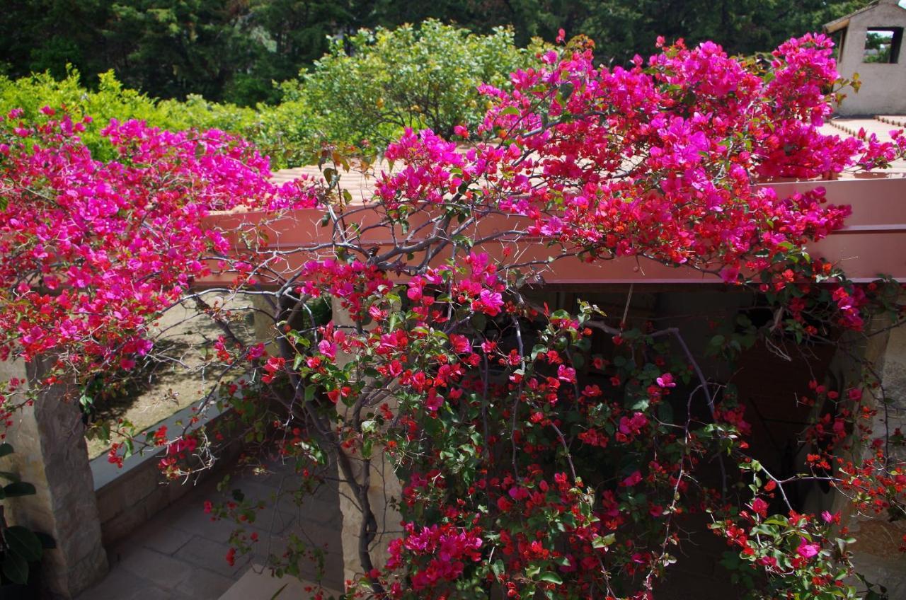 Corsaro B&B Donnalucata  Εξωτερικό φωτογραφία